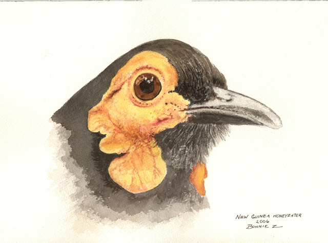 Painting: Honey Eater