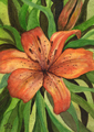 Painting: Tiger Lily