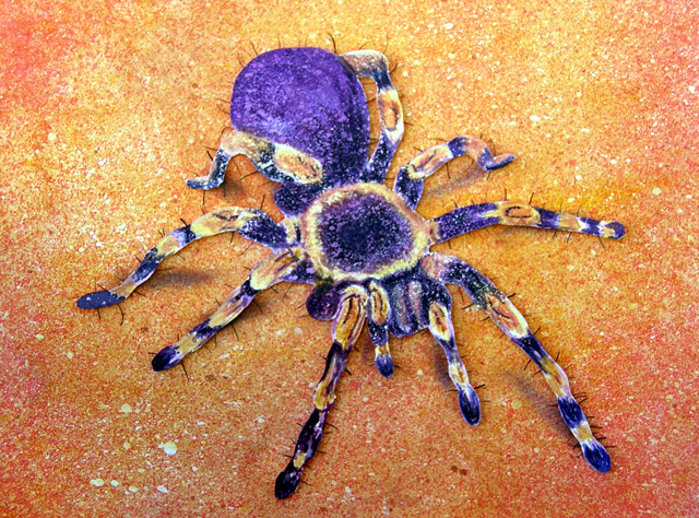 Painting: Spider